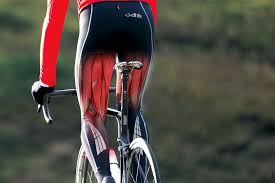 Effect on thigh muscles
